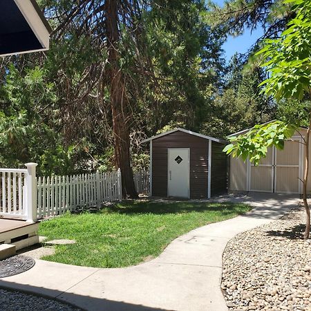 -Serendipity Lodge At Yosemite- Bbq-Full Kitchen-King Bed Oakhurst Dış mekan fotoğraf